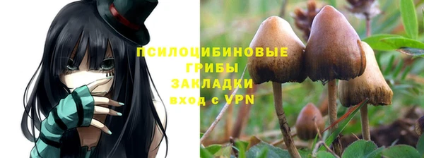 круглые Абаза