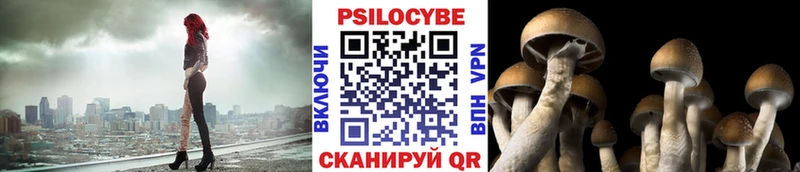 Галлюциногенные грибы мухоморы  Инта 